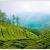 Munnar