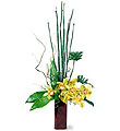 The FTD� Touch of Tropics� Arrangement